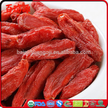 Frutas secas orgánicas rojas de alta calidad de Ningxia Goji Berries de China